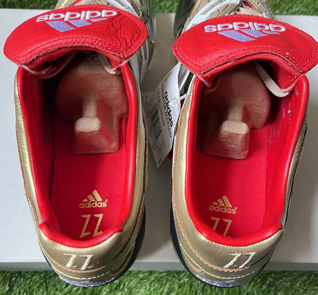 Adidas Predator Accelerator FG