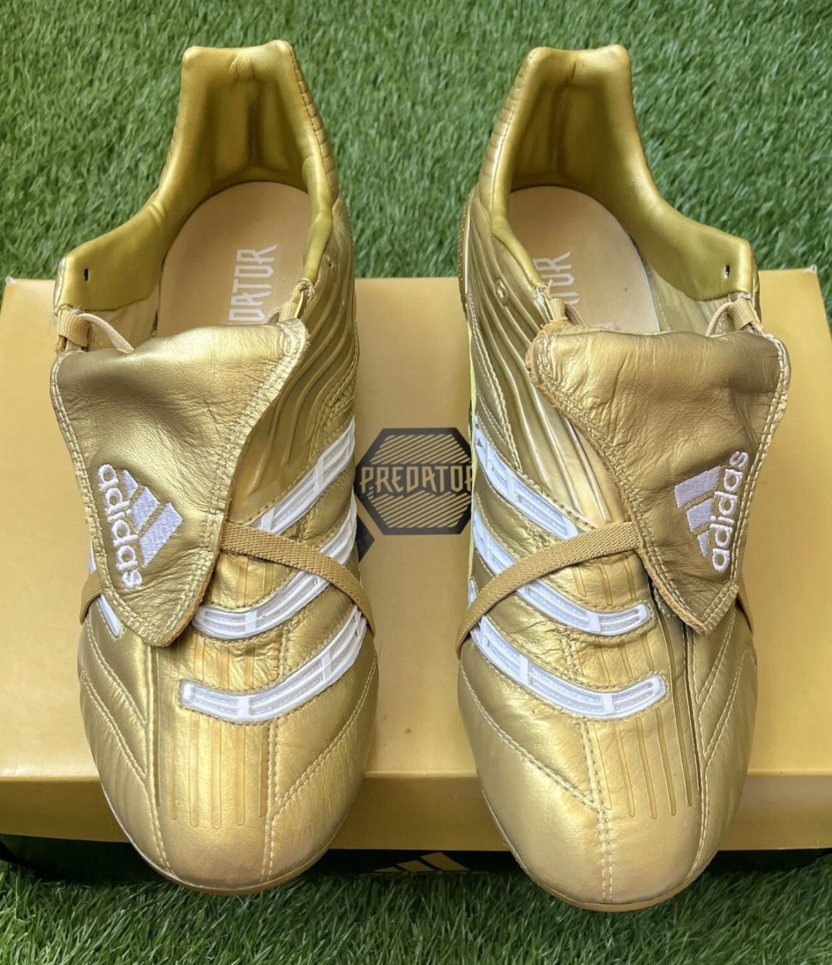 Adidas Predator Absolute Limited edition FG