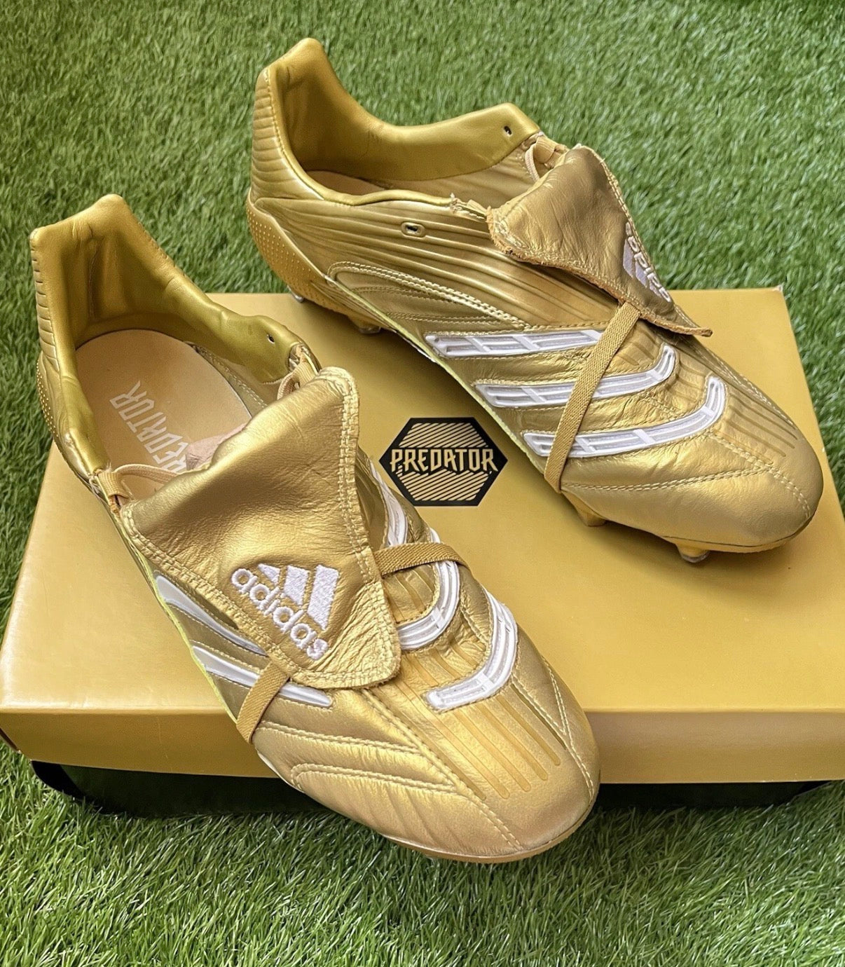 Adidas Predator Absolute Limited edition FG
